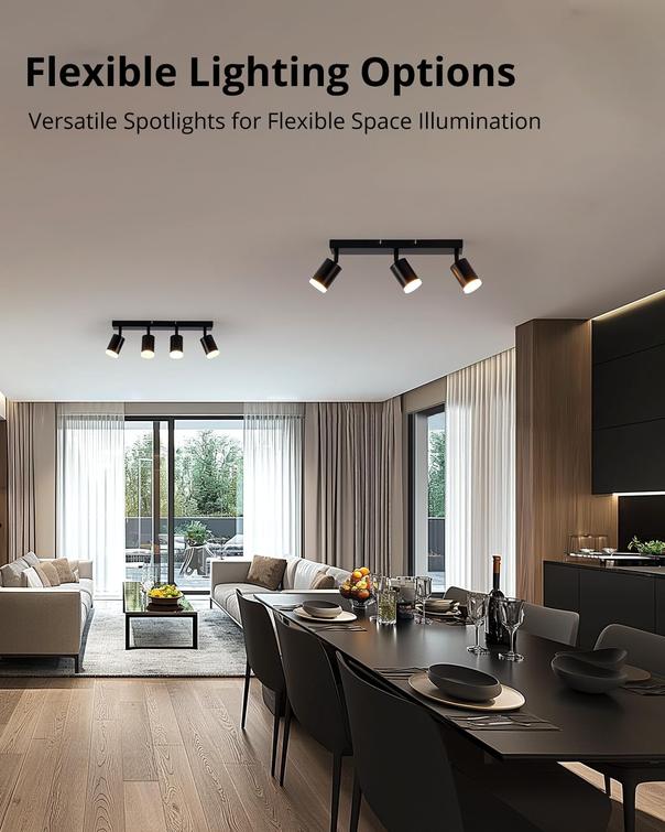 Ares 4-Head Rotatable Track Luminaire