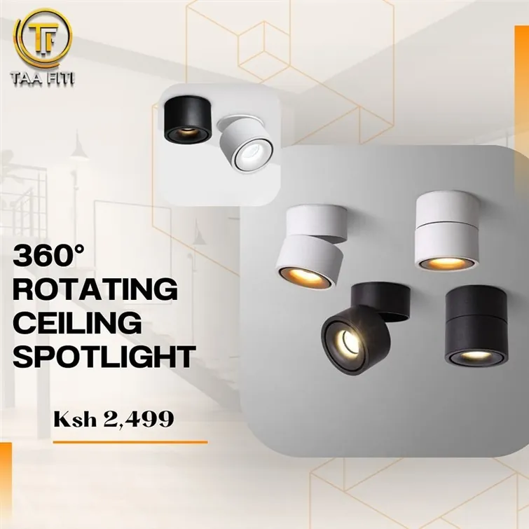 Axis 360° Rotating Architectural Ceiling Spotlight