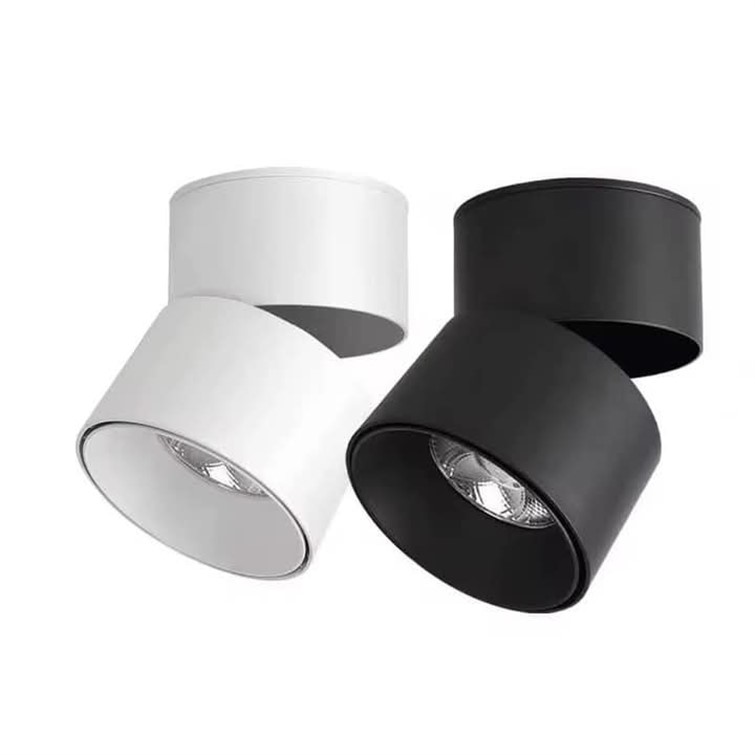 Axon 12W Adjustable Architectural Spotlight