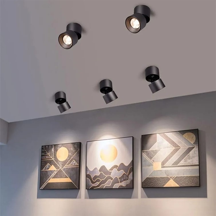 Kona 7W Adjustable Gallery Spotlight