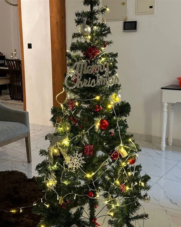 Stardust 10m Flexible LED Fairy String