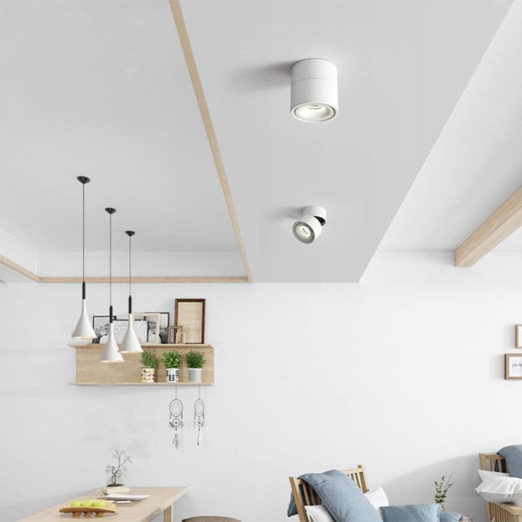 Tubo 95 Pro Adjustable Architectural Spotlight